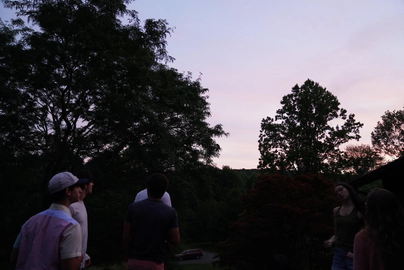 A group of friends silhouetted at dusk, looking out over the treetops as the sky fades from blue to pink and purple